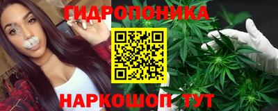 хмурый Апшеронск